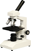 Compound Microscopes