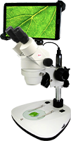 Digital Microscopes