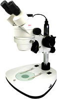 Stereo Microscopes