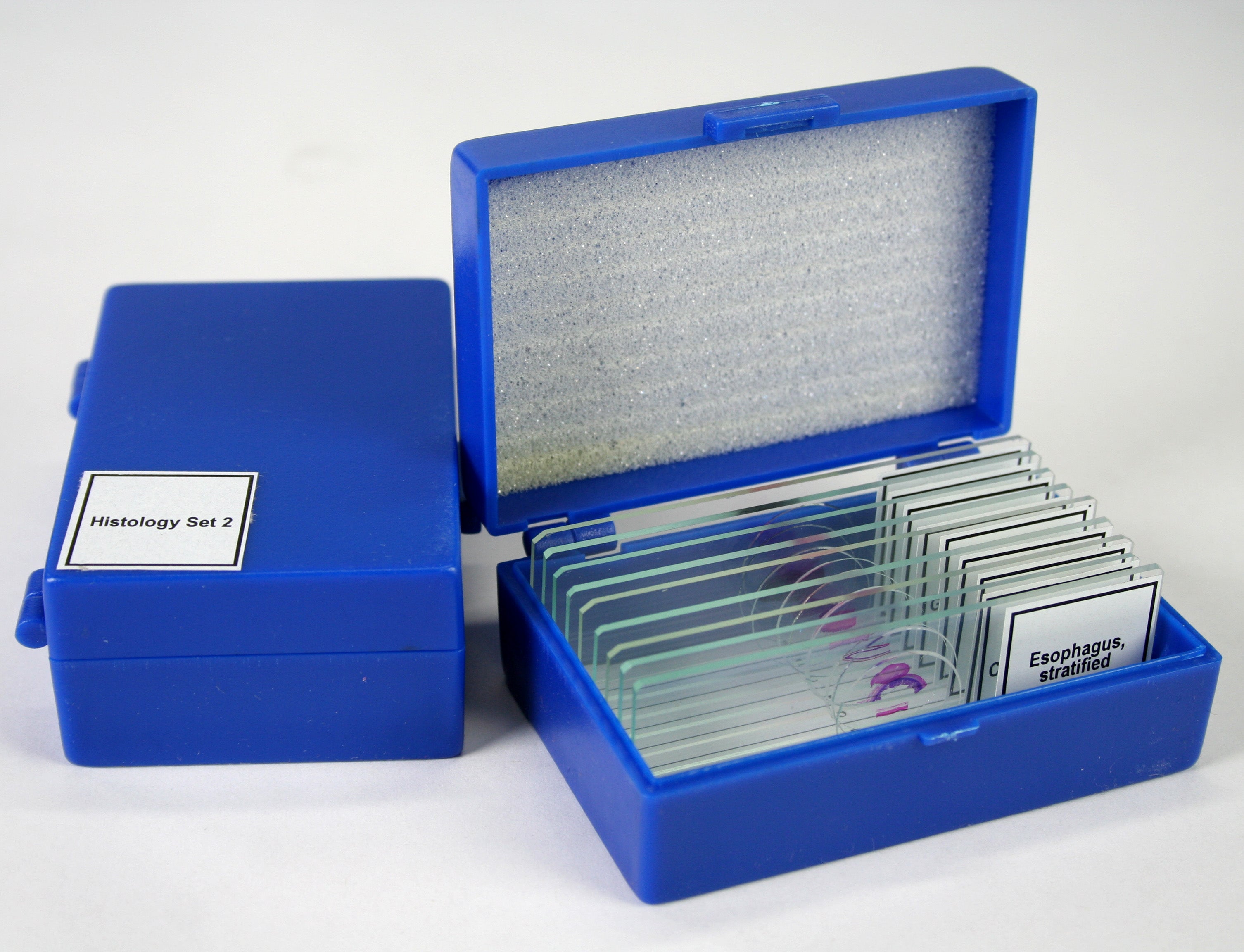 Histology 2 Slide Kit - MA802